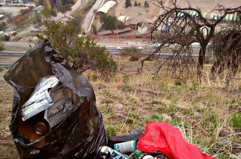 Acciones a tomar al notar daño a la fauna o flora en viajes