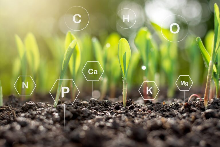 Agricultura de conservación y su relación con el carbono