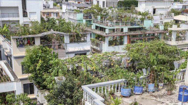 Agricultura urbana resiliente: definición y construcción