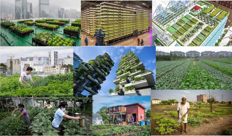 Agricultura urbana y su impacto en la calidad del aire