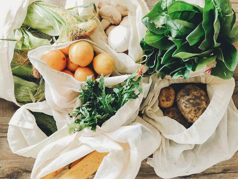 Alimentos sostenibles: los mejores para cuidar el medio ambiente