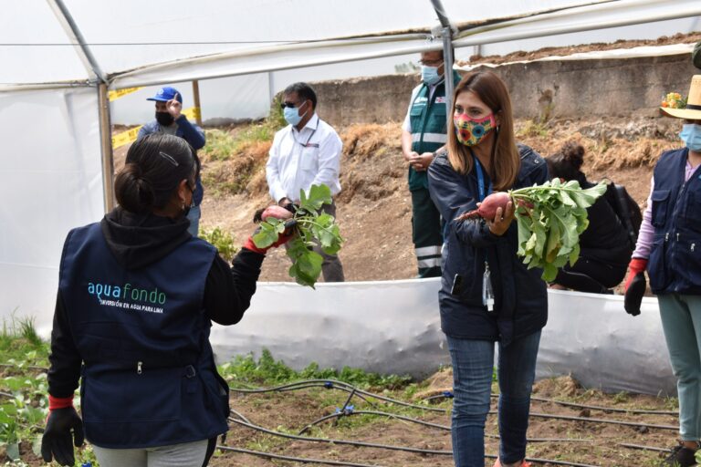 Articulando esfuerzos en proyectos de agricultura urbana