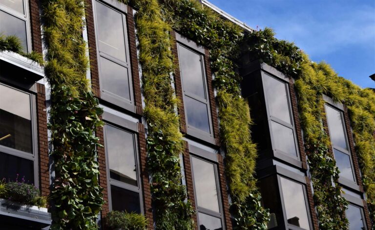 Avances en Edificios Verdes y su Impacto en Sostenibilidad