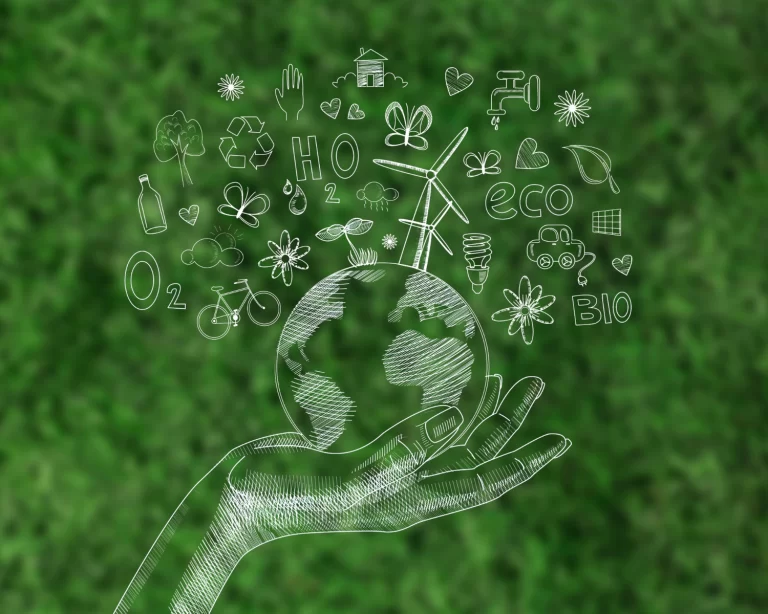 Beneficios de certificar la sostenibilidad en las empresas
