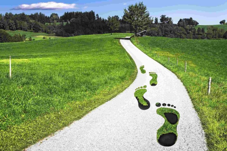 Certificación de huella de carbono: qué es y por qué es esencial