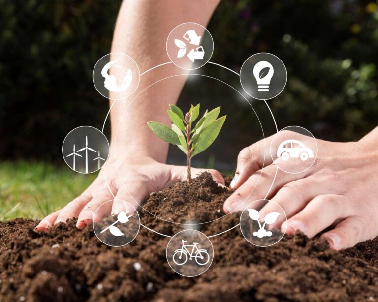 Certificación en prácticas agrícolas sostenibles: qué es