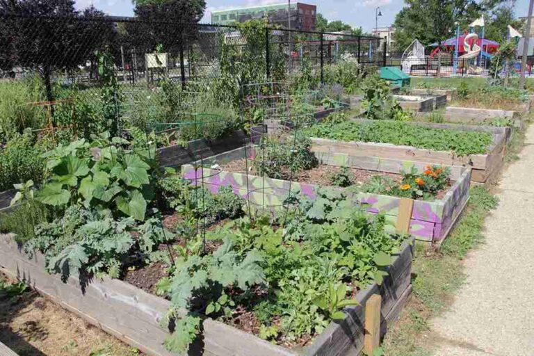 Colaboración entre sector privado y agricultura urbana