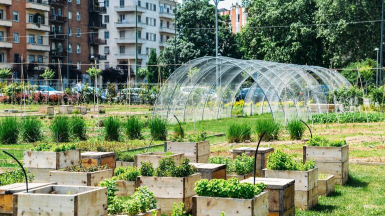 Cómo contribuyen los jardines urbanos a la biodiversidad