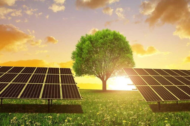 Cómo funcionan las energías renovables y su impacto ambiental
