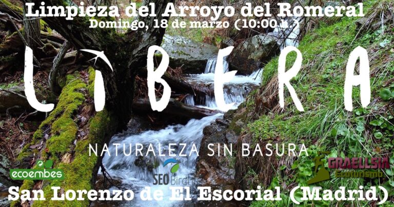 Cómo limpiar espacios naturales después de ecoturismo