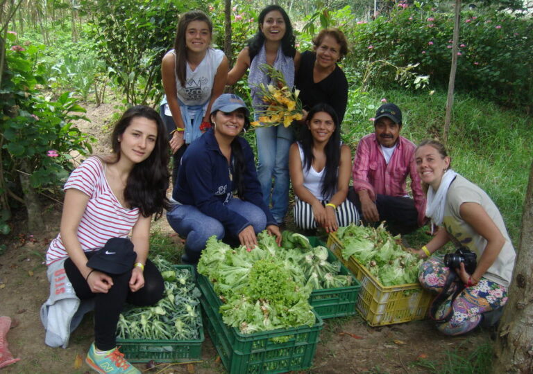 Cómo puedes ser un voluntario en proyectos de ecoturismo