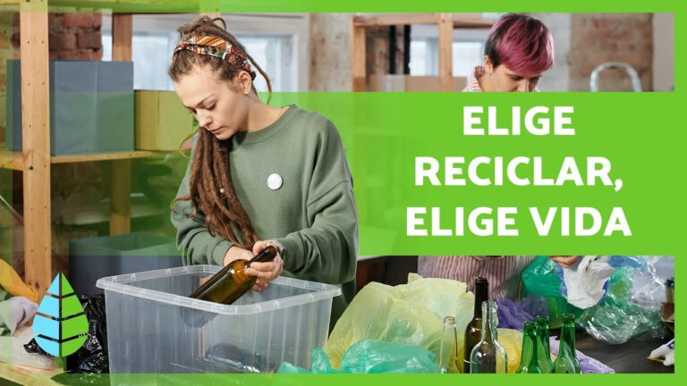 Cómo se estímula el reciclaje en el ámbito escolar