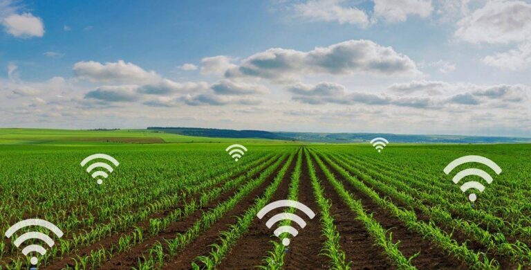 Cómo se utilizan los datos en la agricultura moderna