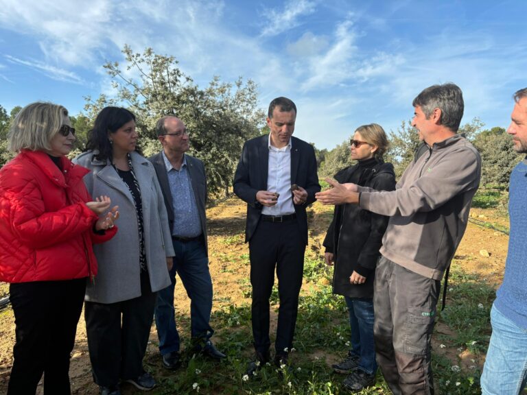 Consejo asesor para un proyecto agrícola eficaz y sostenible