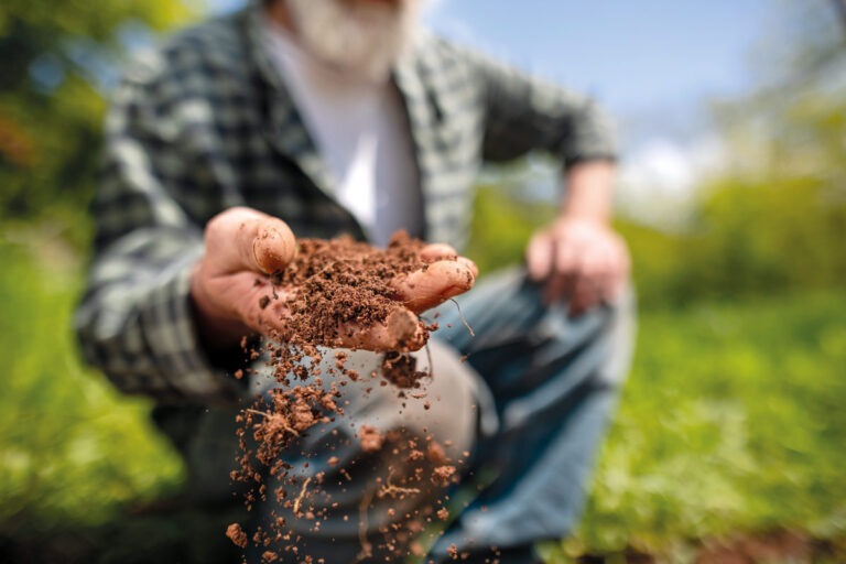 Definición de agroecología y su importancia en la actualidad