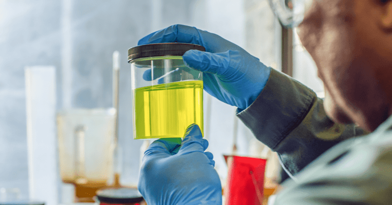 Desafíos de la economía de biocombustibles en mercados emergentes