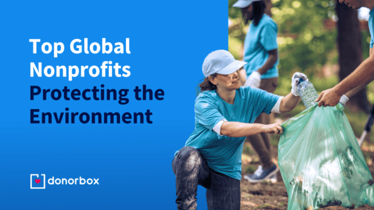 El papel de las ONG en la promoción de la energía solar