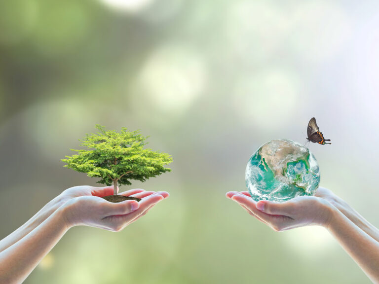 El papel de las ONGs en el desarrollo del ecoturismo sostenible