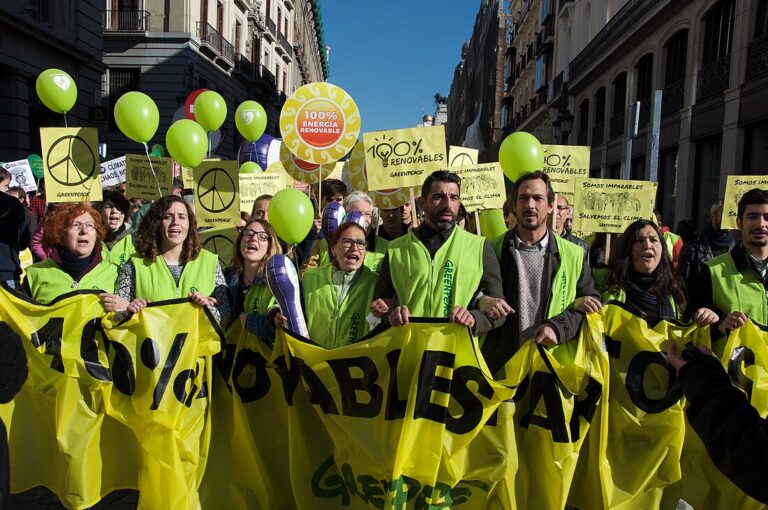 El papel de las ONGs en la promoción de biocombustibles