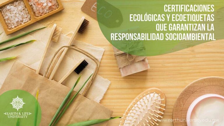 El papel de los consumidores en la validez de certificaciones