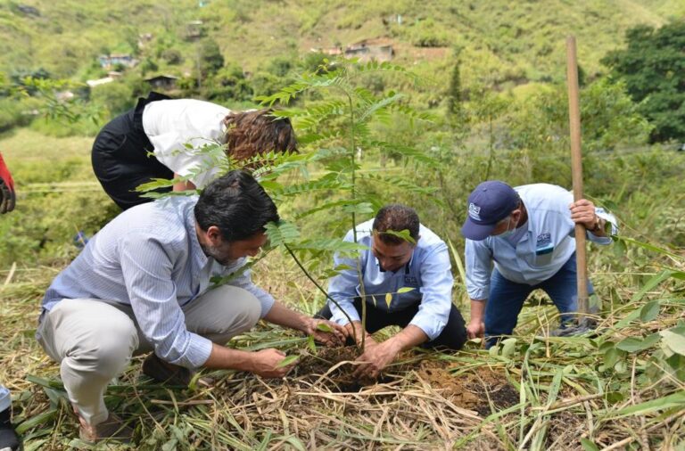 Estrategias Agrícolas para el Fortalecimiento de la Economía Local