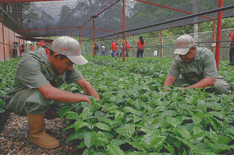 Estrategias de comunicación para sensibilizar sobre agricultura urbana