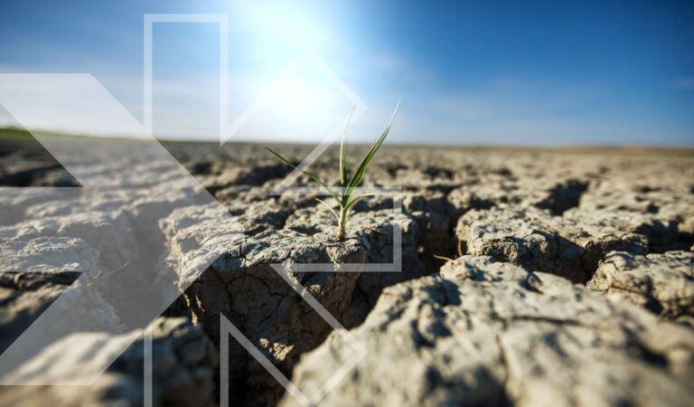 Estrategias de resistencia agrícola ante el cambio climático