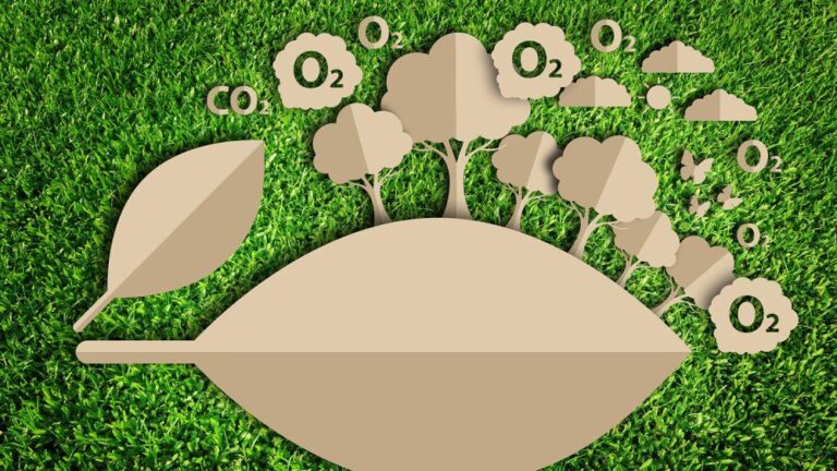 Estrategias para Reducir la Huella de Carbono en Tu Vida Diaria