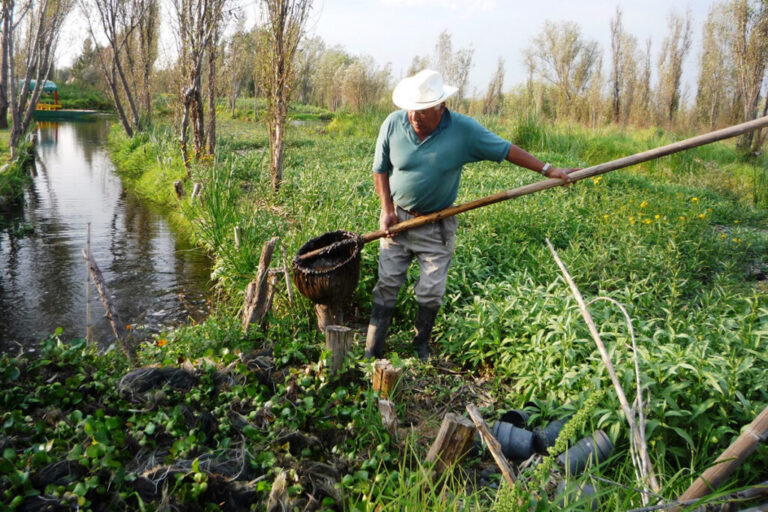 Fomentar la conservación del patrimonio agrícola en la ciudad