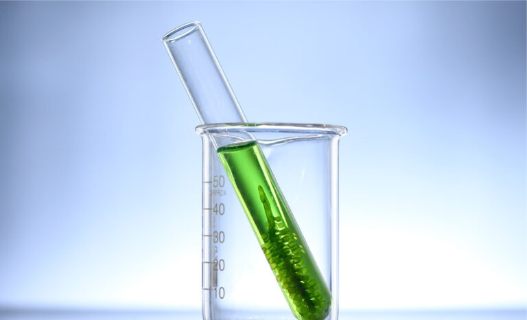 Fomentar la investigación interdisciplinaria en biocombustibles