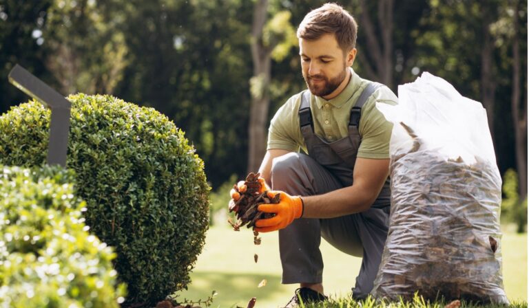 Funcionamiento y Beneficios de los Jardines Comunitarios