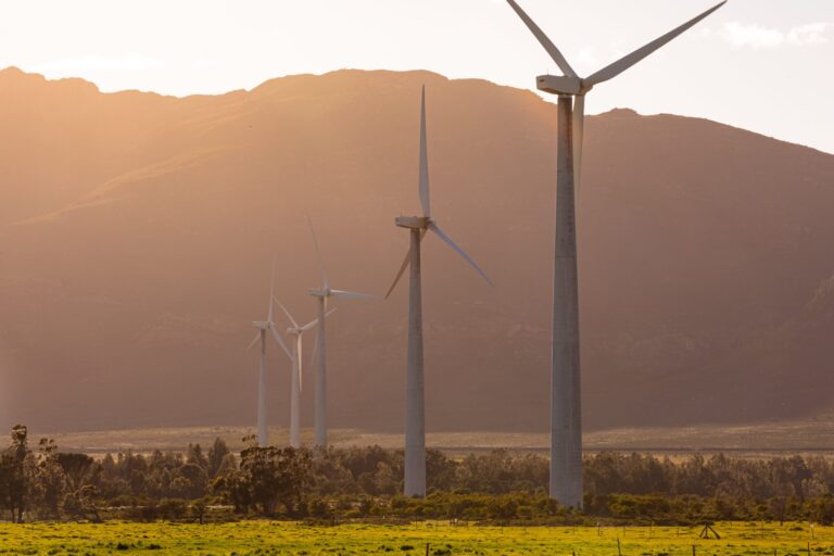 Futuro de la energía eólica en el contexto mundial actual