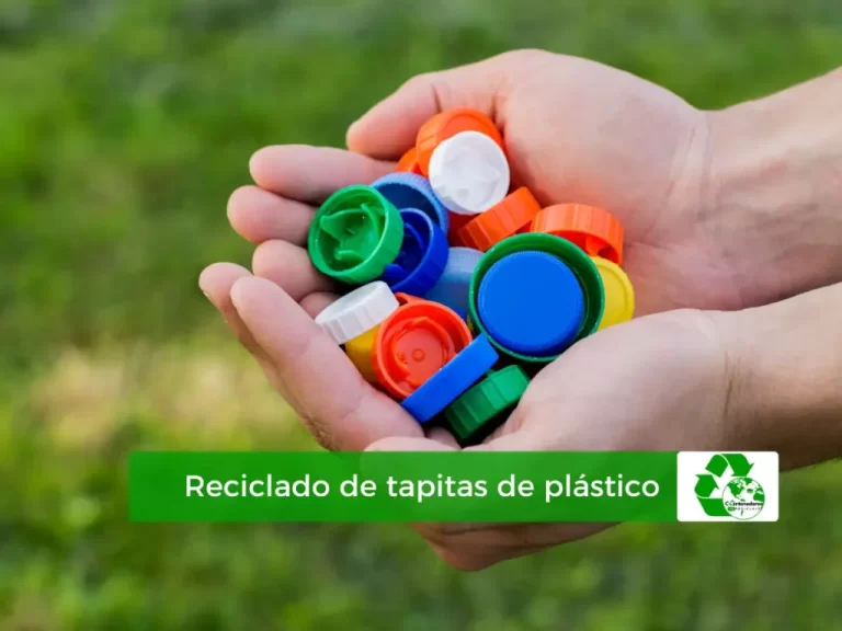 Guía completa y detallada sobre el reciclaje a nivel molecular