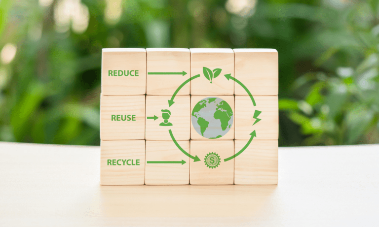 Impacto de la certificación sostenible en la imagen empresarial