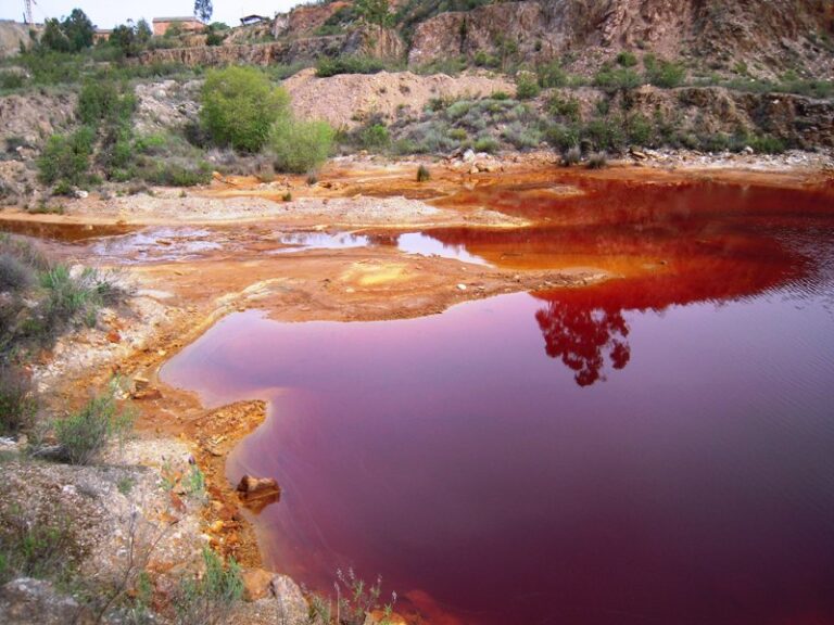 Impacto de la minería en ecosistemas: efectos ambientales y sociales