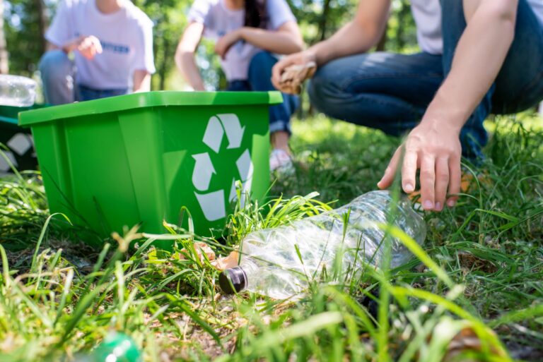 Impacto de políticas turísticas en la sostenibilidad ambiental