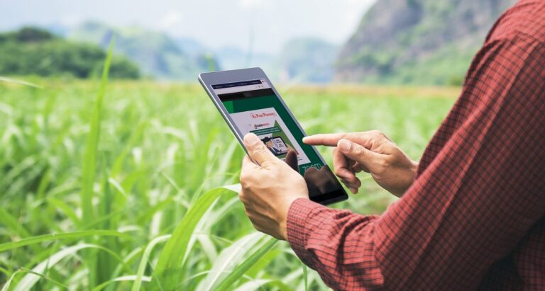 Implementación de un programa de capacitación en habilidades agrícolas