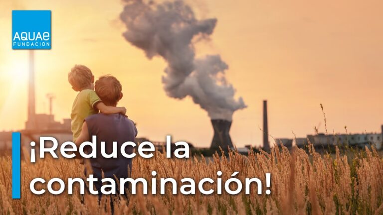 Iniciativas comunitarias para reducir la huella de carbono