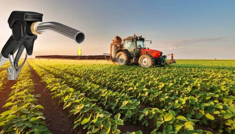 Iniciativas internacionales sobre biocombustibles y su impacto global