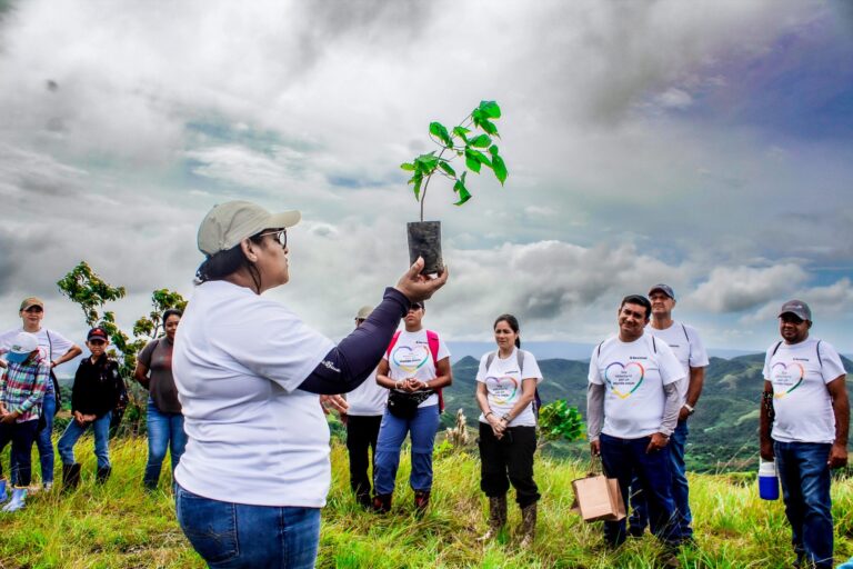 Iniciativas locales para liderar la reducción de carbono comunitaria