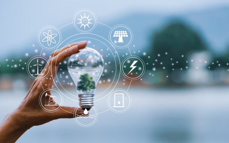 Innovación sostenible: el rol de los consumidores en su apoyo