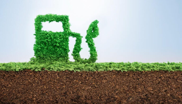 Las tendencias del consumidor hacia biocombustibles
