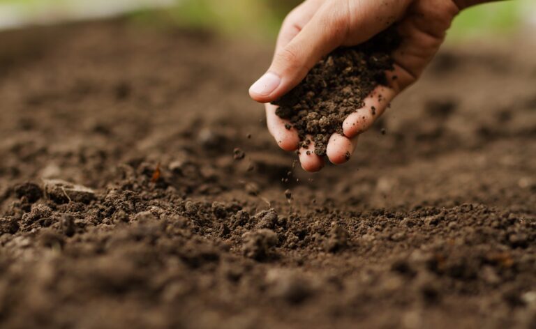 Medidas efectivas para la sostenibilidad en la agricultura