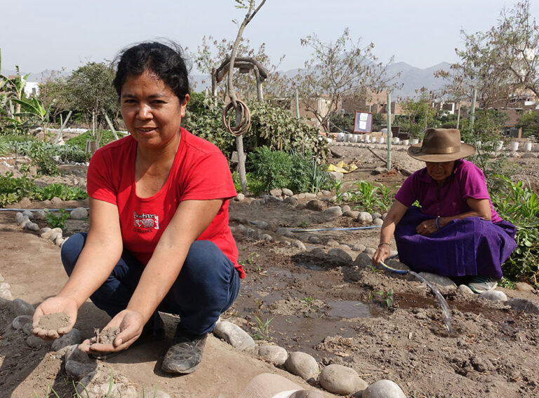 Mejorando proyectos de agricultura urbana con diseño participativo