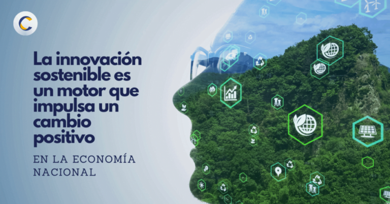 Mejores casos de estudio en innovación sostenible y su impacto