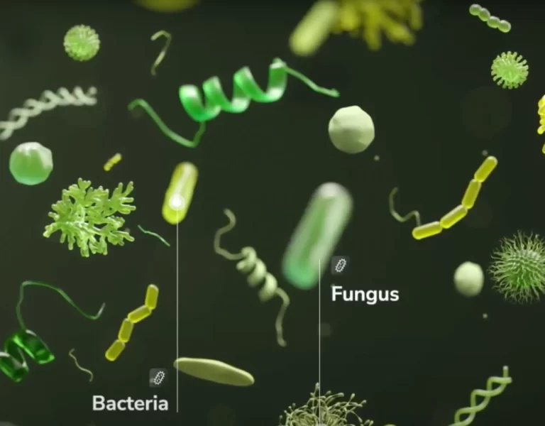 Microbios: clave en la salud y equilibrio de los ecosistemas