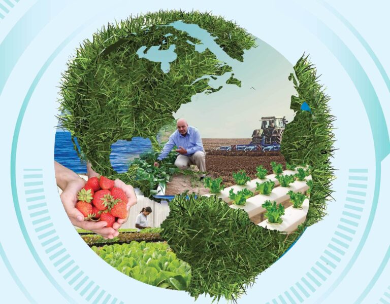 Obstáculos para lograr una agricultura sostenible en la ciudad