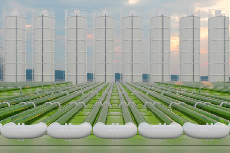 Perspectivas de mercado para los biocombustibles en Asia