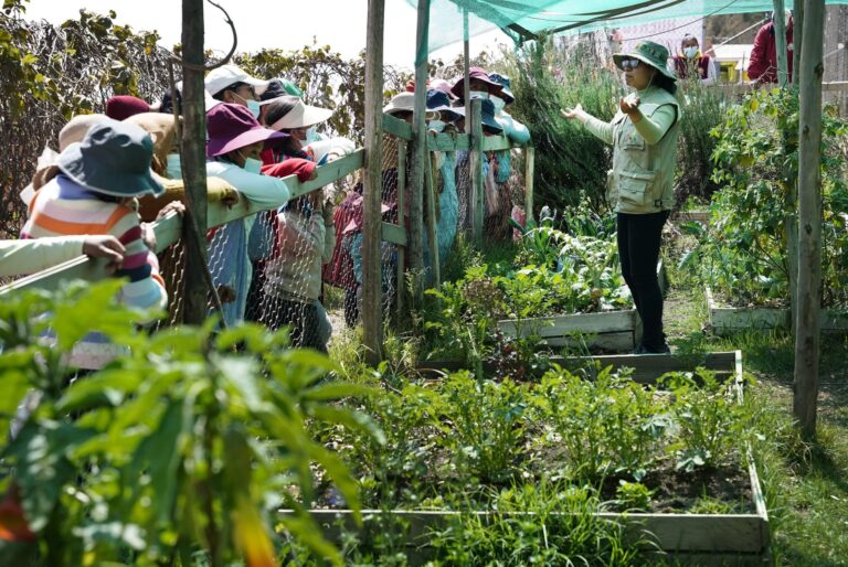 Políticas públicas y su rol en la promoción de huertos urbanos