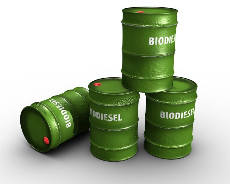 Producción de biodiésel: métodos, materias primas y beneficios